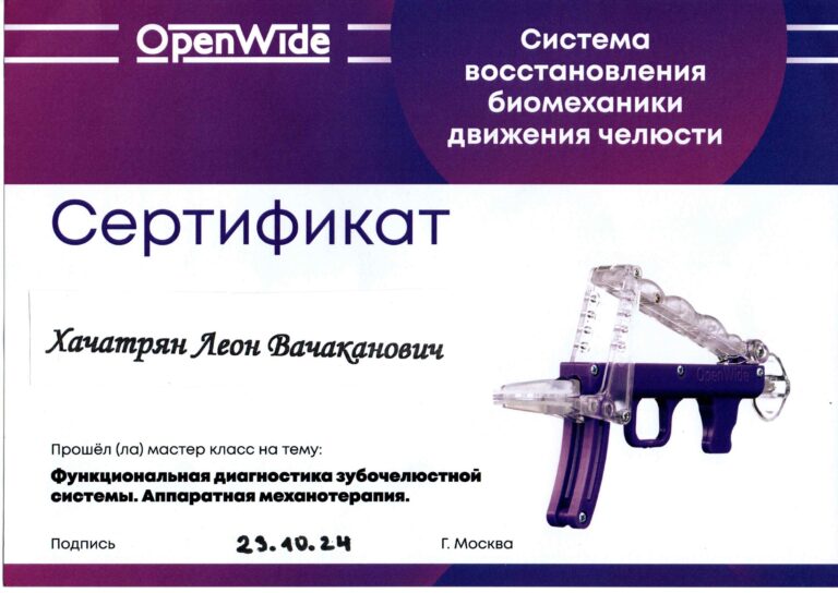 Документ об образовании — Леон Хачатрян