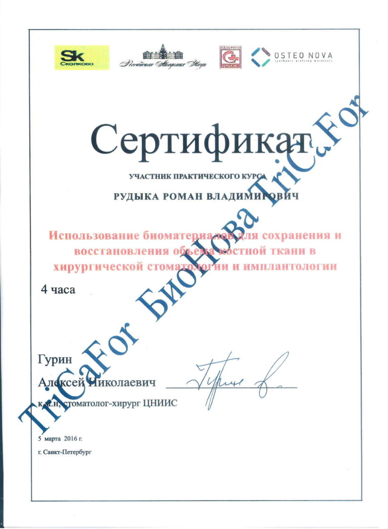 Сертификаты Рудыка Роман Владимирович