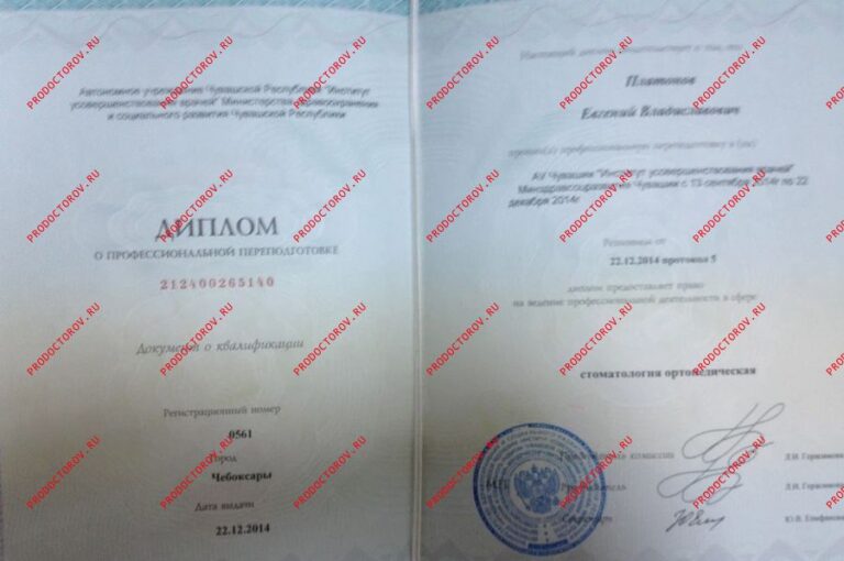 Платонов Евгений Владиславович — Прочие документы